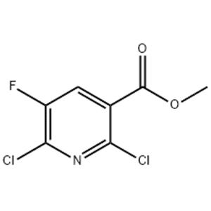 METHYL 2,6-DICHLORO-5-FLUORONICOTINATE