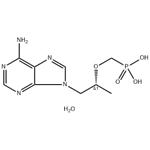 9-[(R)-2-(Phosphonomethoxy)propyl]adenine monohydrate pictures