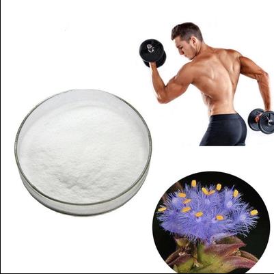 Article illustration