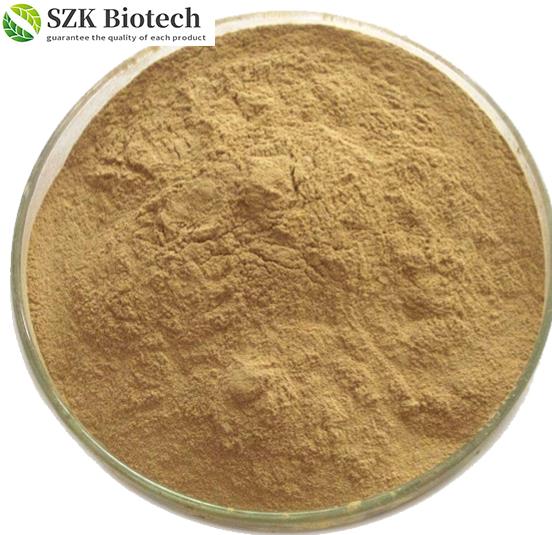 Article illustration