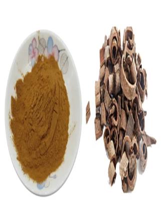 Article illustration