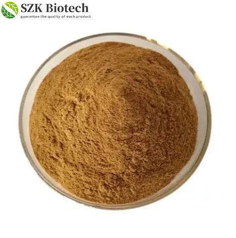 Article illustration