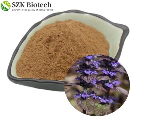 Article illustration