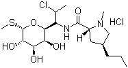 CAS # 21462-39-5, Clindamycin hydrochloride