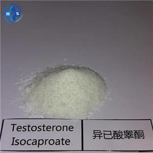 Testosterone isocaproate
