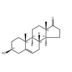 Dehydroepiandrosterone