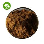 Reishi Extract Powder pictures