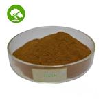 Maca root powder pictures