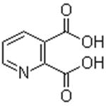 2,3-Pyridinedicarboxylic acid pictures