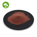 Corydalis yanhusuo extract Tetrahydropalmatine powder