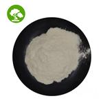 Adenosine 5'-triphosphate disodium salt