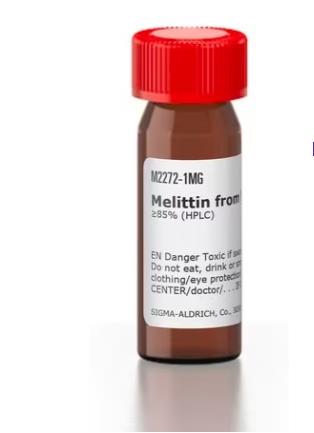 Article illustration