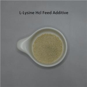 L-Lysine Monohydrochloride