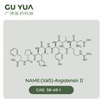 (Val5)-Angiotensin II