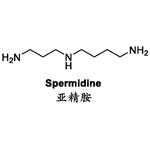 Natural biosynthesis of spermidine HCL