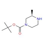 (R)-4-Boc-2-methylpiperazine pictures