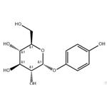 α-Arbutin  pictures