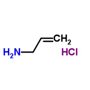 poly(allylamine hydrochloride)