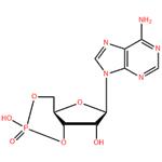 Adenosine 3`, 5`-cyclic monophosphate pictures