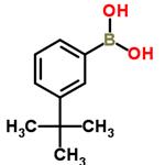 3-tert-Butylphenylboronic acid pictures