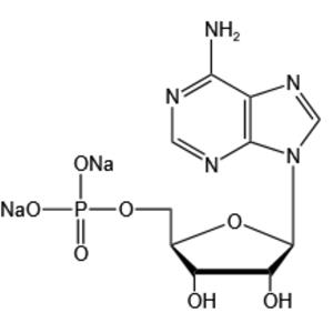 Adenosine 5’-monophosphate disodium salt（AMP-Na2）