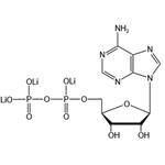 Adenosine 5’-diphosphate trilithium salt（ADP-Li3） pictures