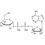 Adenosine-5’-diphosphoglucose disodium salt (ADPG-Na2) pictures