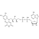 Flavin Adenine Dinucleotide Sodium (FAD) pictures