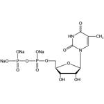 2'-Deoxythymidine 5'-diphosphate trisodium salt (dTDP-Na3) pictures