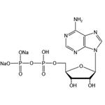 Adenosine 5’-diphosphate disodium salt（ADP-Na2）