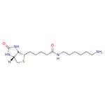 (+)-Biotinyl hexylamine pictures