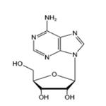 Adenosine 5’-triphosphate（ATP-H）