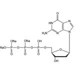 2'-Deoxyguanosine 5'-triphosphate trisodium salt (dGTP-Na3)