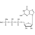 Guanosine-5’-triphosphate disodium salt（GTP-Na2）