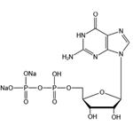 Guanosine 5’-diphosphate disodium salt（GDP-Na2）