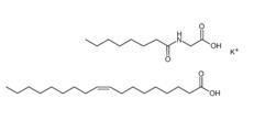 Potassium Cocoyl Glycinate Structure Article illustration