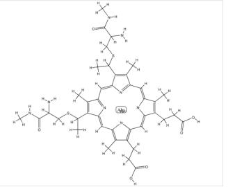 Cytochrome C structure Article illustration