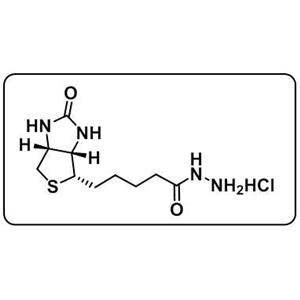 Biotin hydrazide HCl
