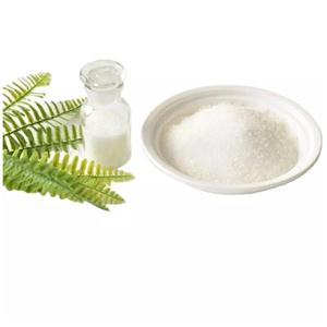 Moroxydine Hydrochloride 