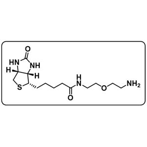 Biotin-PEG1-amine