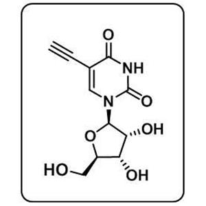 5-Ethynyl uridine