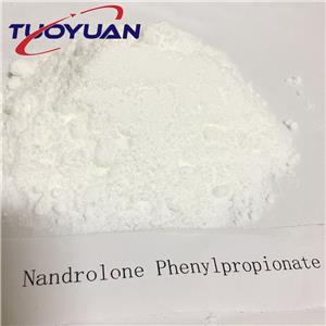 Nandrolone Phenylpropionate 