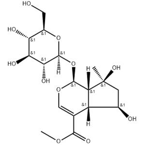 SHANZHISIDE METHYL ESTER