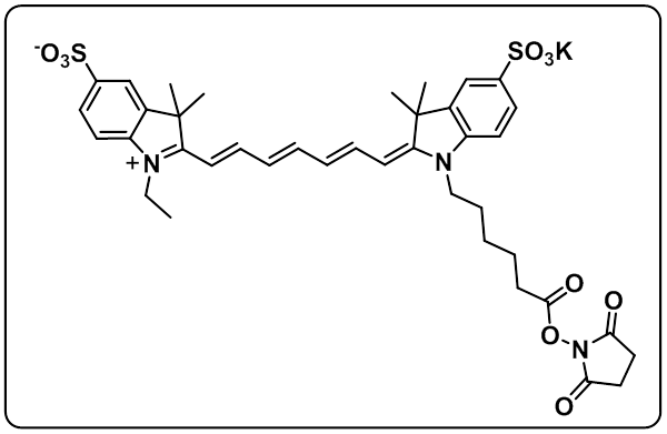 diSulfo-Cy7 NHS ester(Ethyl)