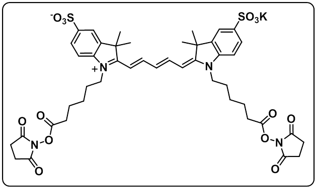 Sulfo-Cy5 bis-NHS ester