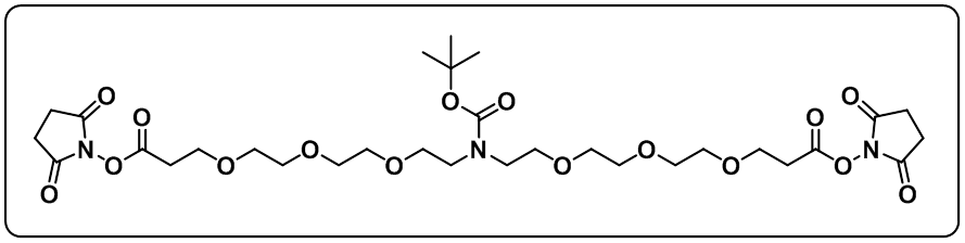 N-Boc-N-bis(PEG3-NHS ester)