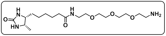 Desthiobiotin-PEG3-Amine