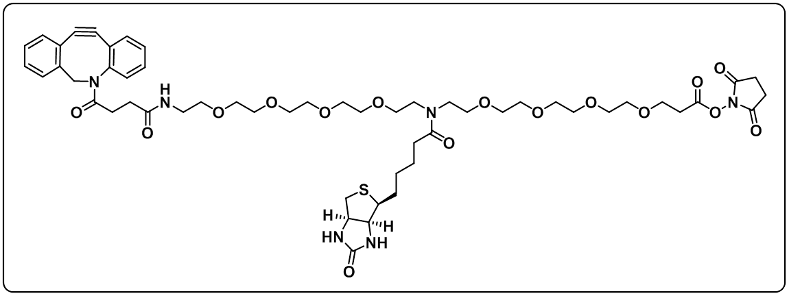 N-(DBCO-PEG4)-N-Biotin-PEG4-NHS