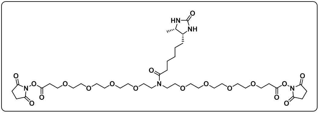 N-Desthiobiotin-N-bis(PEG4-NHS ester)