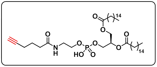 DPPE-Alkyne